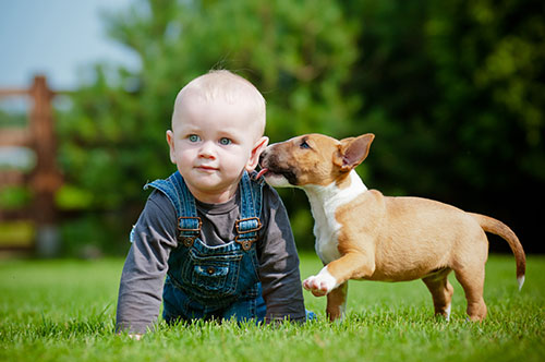 Baby with Puppy